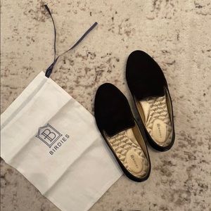 Birdies Black Velvet- the Starling